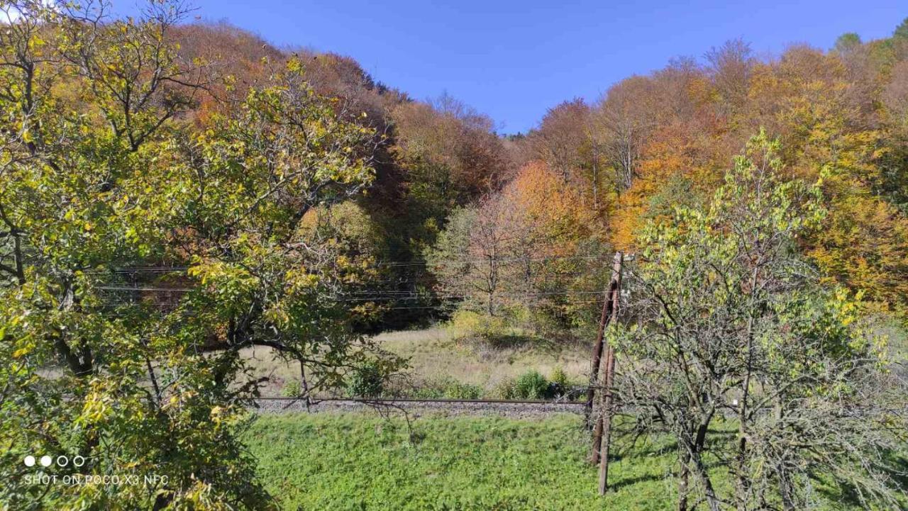 Gorec Lodge Yaremche